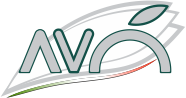 logo avo